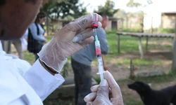 Frio no começo e no fim do dia