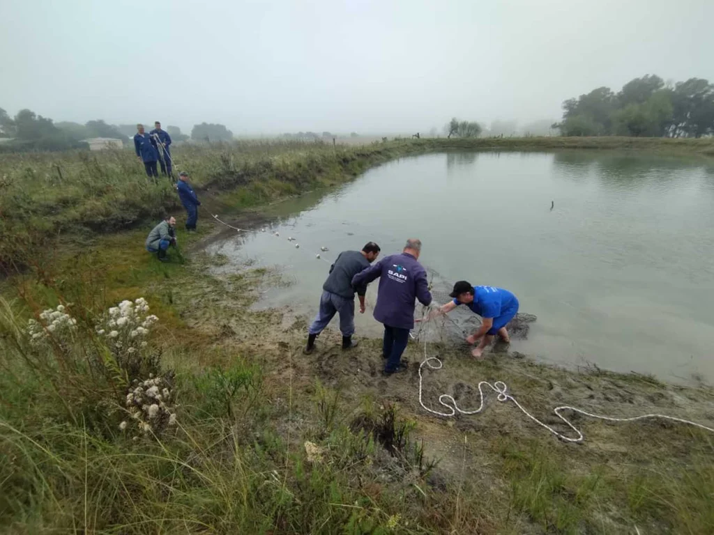 Semapa convida população para arborizar a cidade