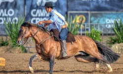 Filhos de ginete bageense brilham no pódio do Cavalo Crioulo