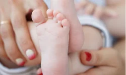 Maio Amarelo também é alerta para a saúde dos pets