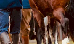 ABCCC cancela concentração de machos