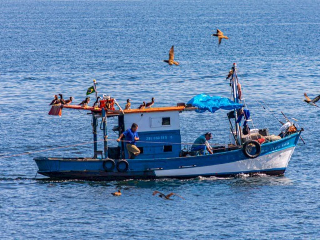 Pescadores profissionais tem que fazer cadastramento
