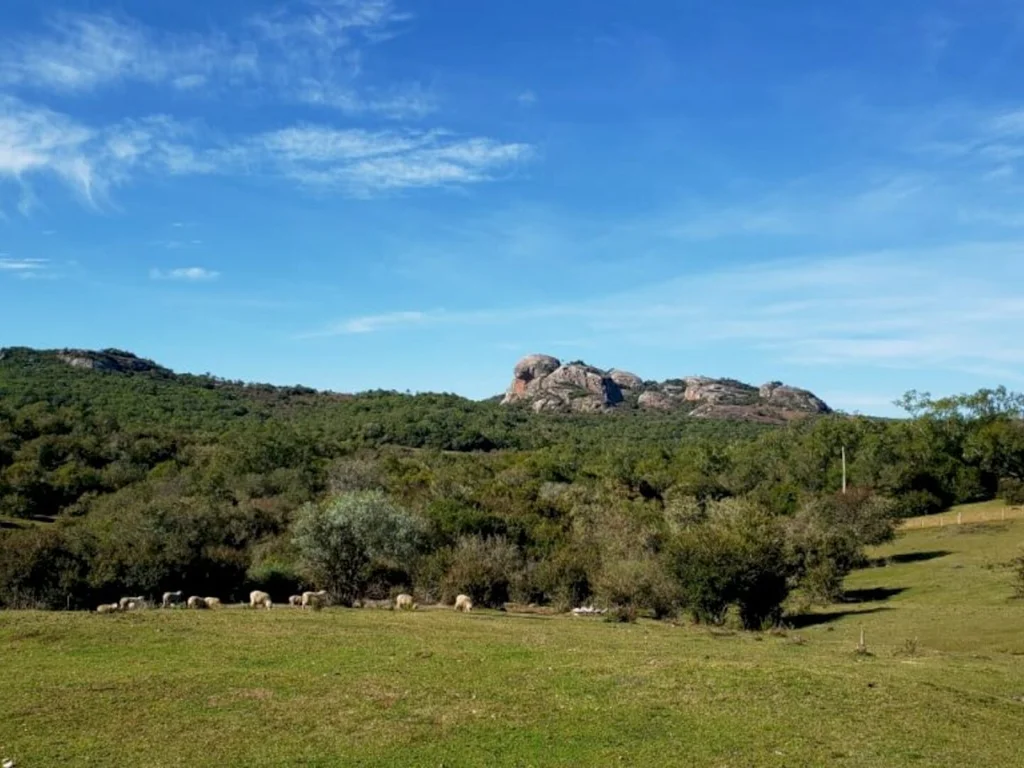Estudos de mineração na região colocam ambientalistas em alerta