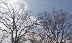 Homem morre após ser atropelado na RSC-473