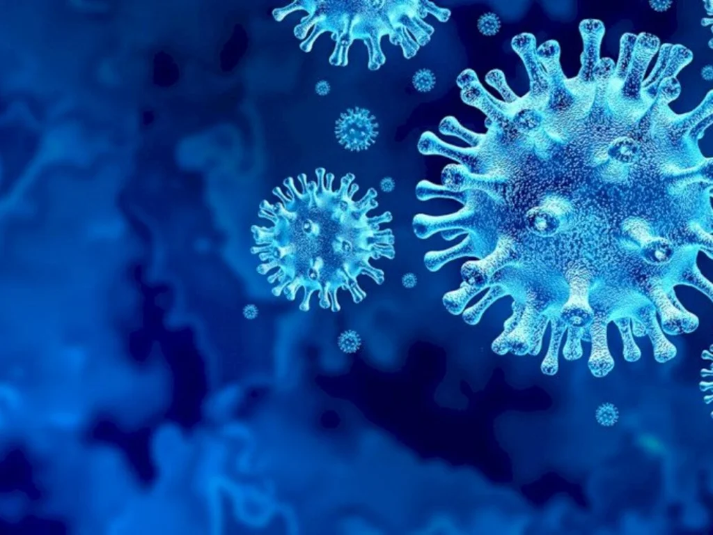 Mundo em alerta com nova variante do coronavírus