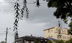 Estado emite alerta para região covid de Bagé