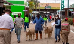 Desfile dos campeões marca abertura oficial da Expointer