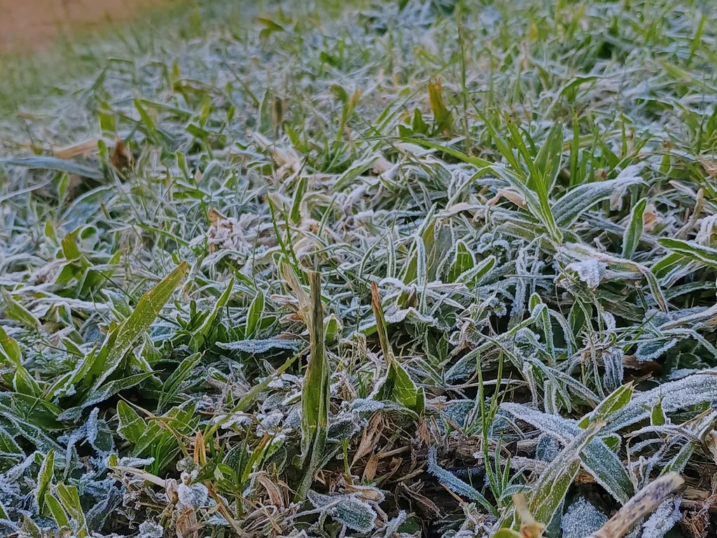 Concurso ‘A Geada Que Nos Une’ encerra inscrições dia 21