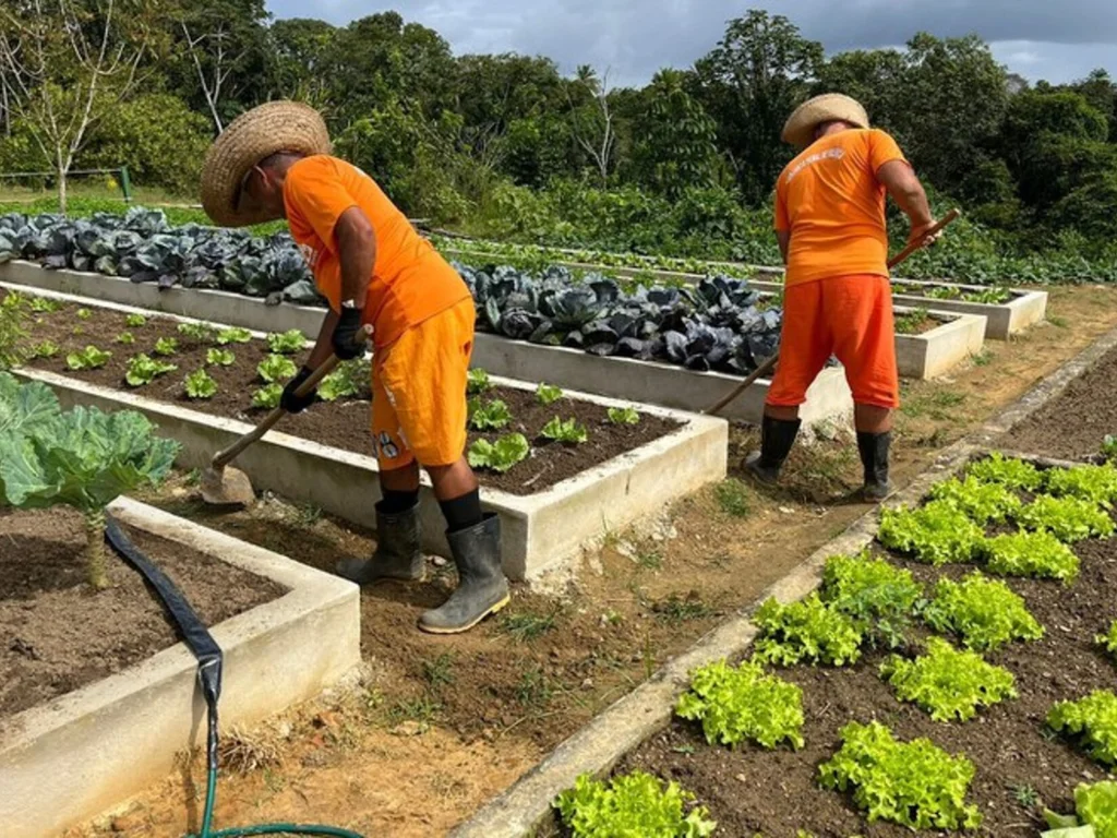 Fábricas produtivas nos presídios receberam R$ 21 milhões