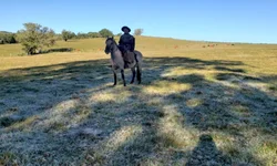 Por mais efetivo da Brigada Militar