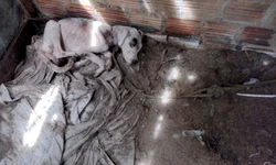 Saúde reduz para quatro meses intervalo para reforço