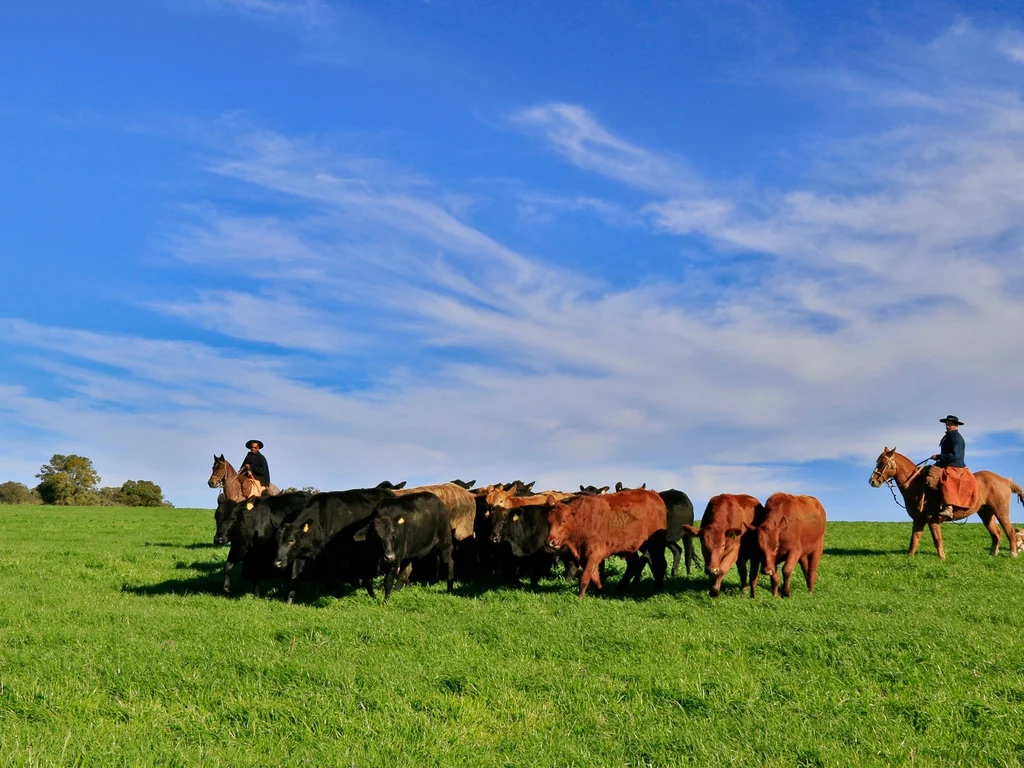 Cinquentenário da Embrapa destaca história e novos desafios