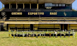 Parlamento presta homenagem ao jalde-negro