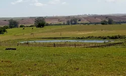 Produtores avaliam impacto da chuva nas lavouras e açudes