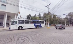 Mainardi, Adriana e Hamm são eleitos