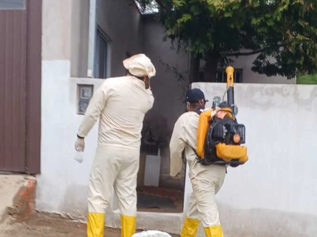 Bagé tem três casos confirmados de dengue