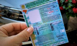 Expopampa será vitrine das potencialidades da região