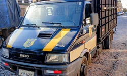 Caminhão para recolhimento de animais soltos volta a operar