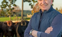 Rebanho sofre com perda de peso devido à estiagem