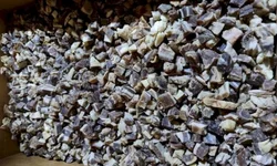 Delegado diz que polícia estabelece mecanismos de controle