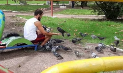 Alice deve estar viva será lançado em Bagé