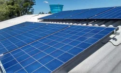 Alerta é para período de infestações de carrapatos