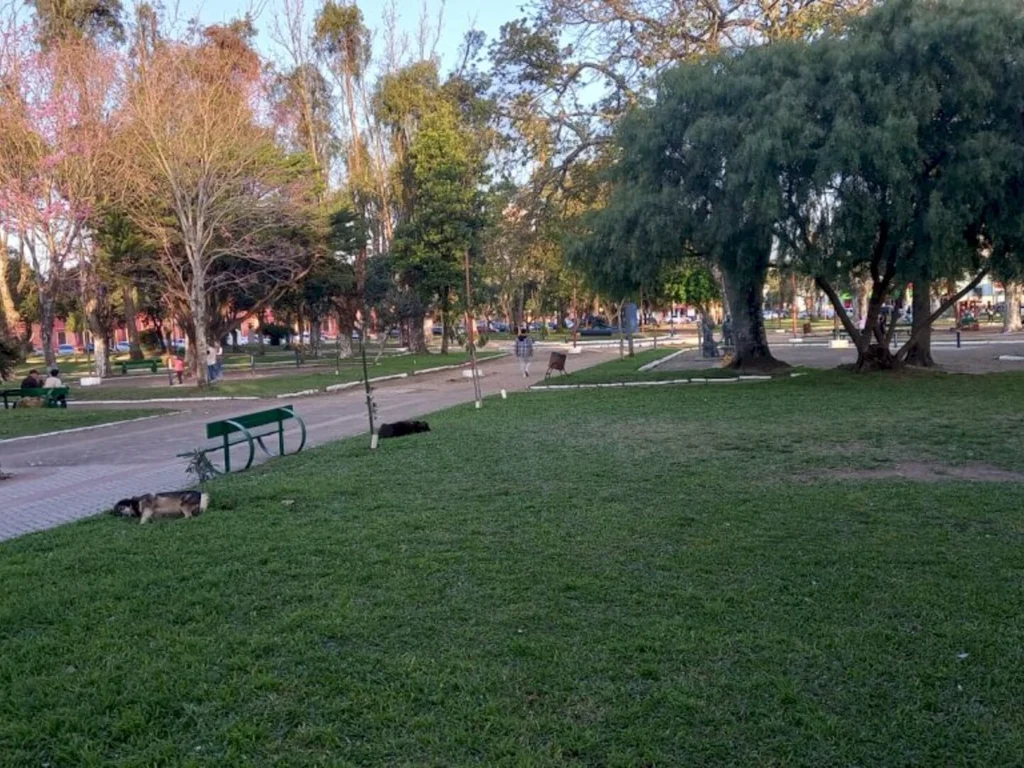 Frango senta hoje no banco dos réus