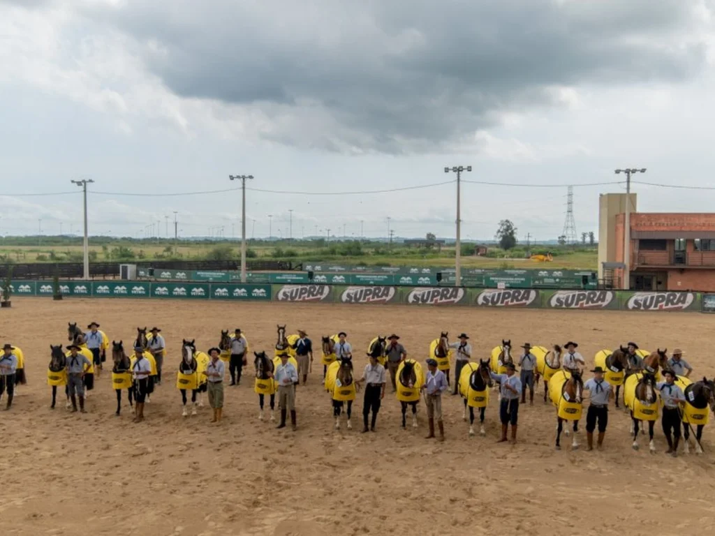 Freio e Morfologia preenchem novas vagas