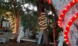 Analista de Bagé completa cinco anos em estado deplorável