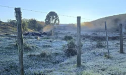 “Queremos contribuir com o desenvolvimento sustentável de cada região do RS”