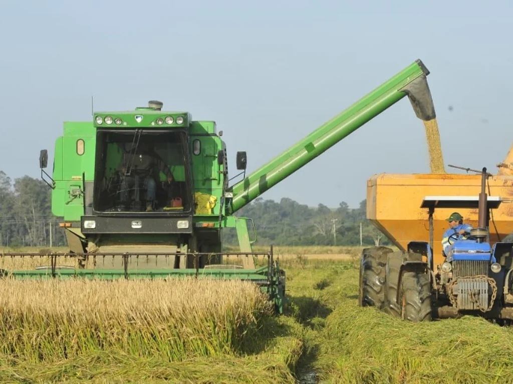 Colheita do arroz avança e ultrapassa 79% da área no RS