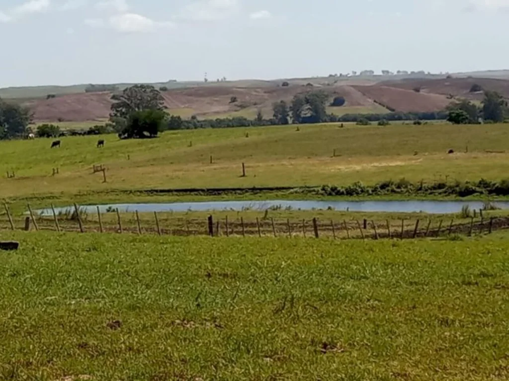 Produtores avaliam impacto da chuva nas lavouras e açudes