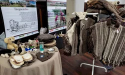 Falta de luz causa transtornos e prejuízos