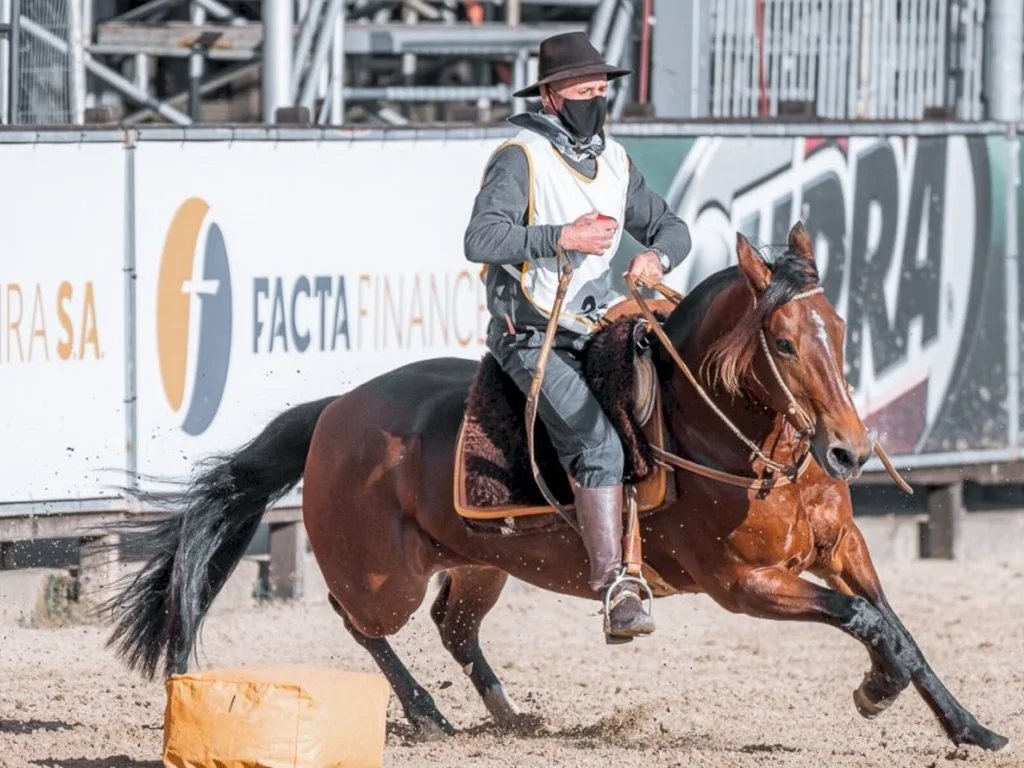 Abertas inscrições para Bocal de Ouro