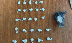 Guarda Municipal inicia atividades em sede temporária