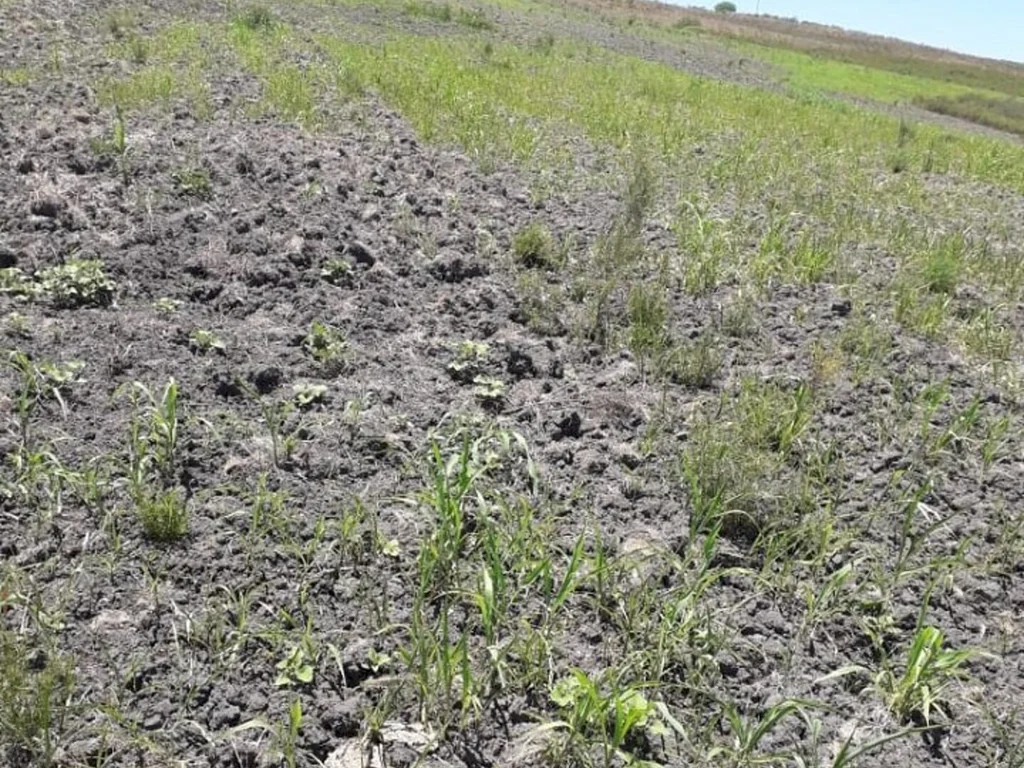 Cidades serão contempladas com recursos para a estiagem