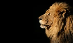 Rossetto quer redirecionar R$ 136 milhões dos produtores rurais para hospitais