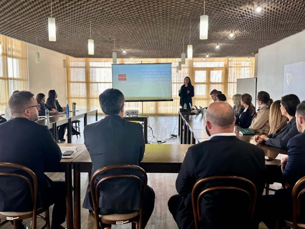 Comitê de Políticas Penais debate metas para controle de vagas