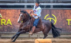 Morfologia do Cavalo Crioulo abre a temporada de finais