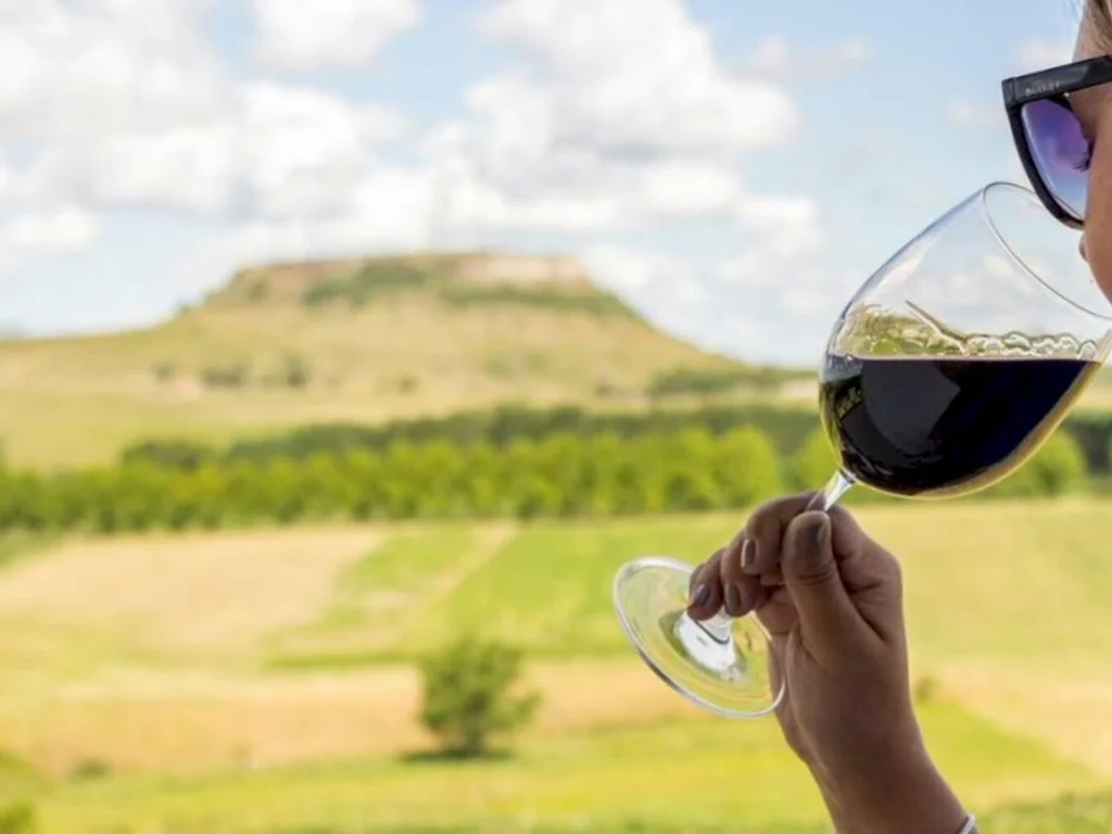 Presidente da Apatur diz que o turismo ‘voltou a mil’