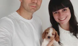 Pânico é estreia desta semana no Cine 7