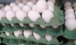 Preço médio da cesta de alimentos fecha em queda