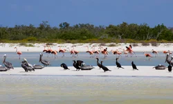 Angélica, Xuxa e Eliana emocionam público em encontro