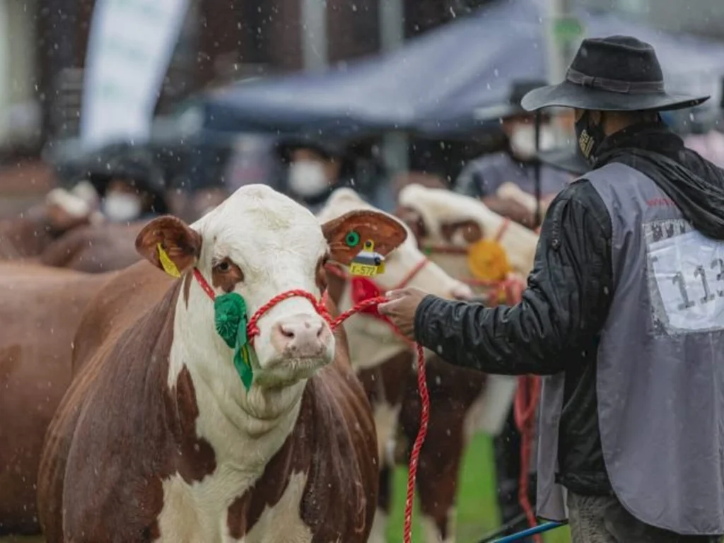 ABHB abre inscrições para a Expointer