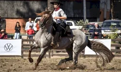 Filhos de ginete bageense brilham no pódio do Cavalo Crioulo