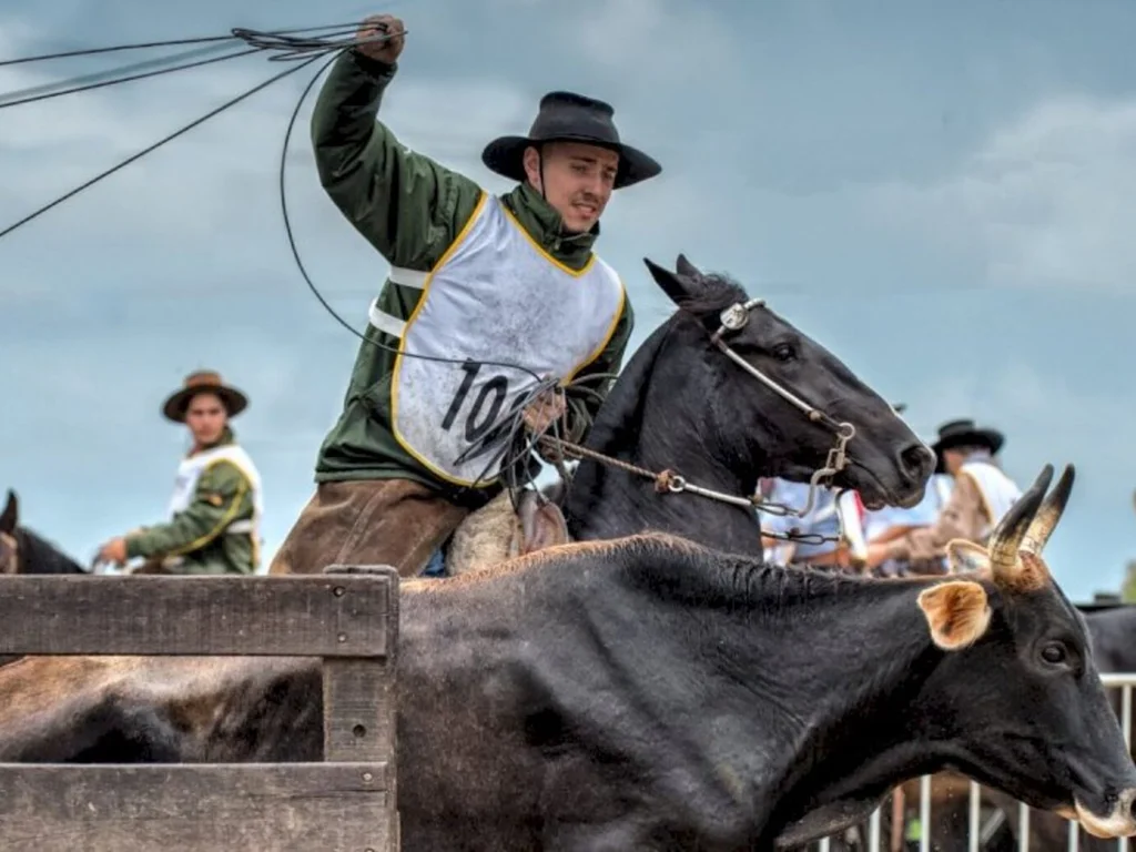 Crioulaço abre o calendário de finais da raça Crioula