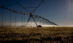 Produtores avaliam impacto da chuva nas lavouras e açudes