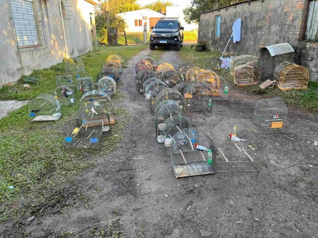 Polícia Federal realiza nova fase de operação contra tráfico de animais