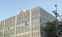 Piratini confirma Fundo Estadual de Bem-Estar Animal