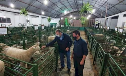 Comissão presidida por Mainardi ouve ex-governadores